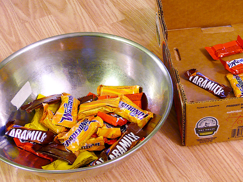 Halloween Candy Counting – Lesson This
